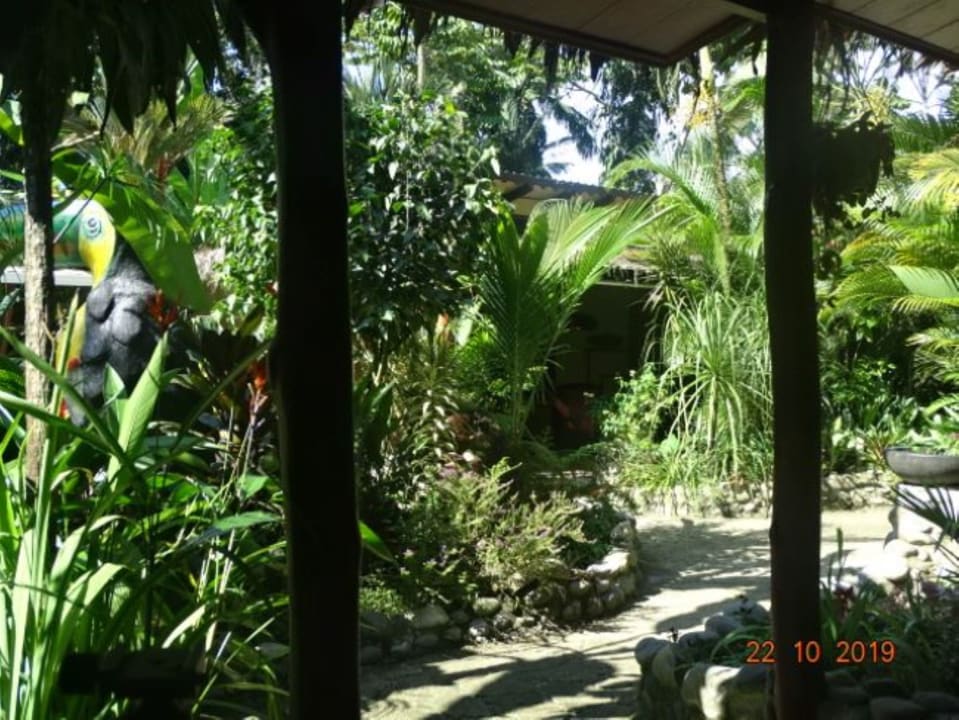 Gartenanlage Hotel Caribbean Coconut