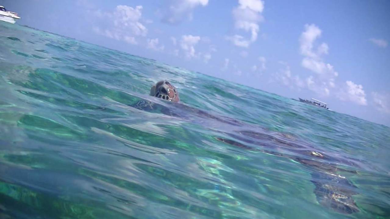 Strand Kuredu Island Resort & Spa