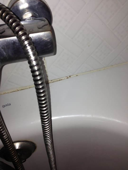 Pilze Hotel El Duque