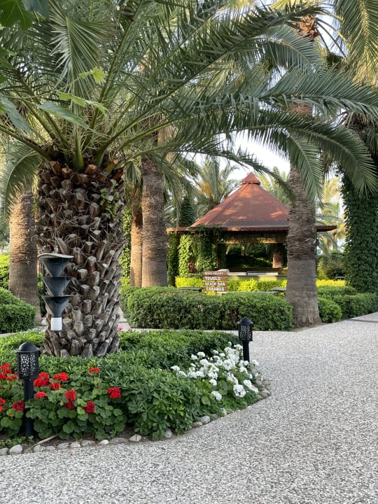 Gartenanlage Paloma Oceana