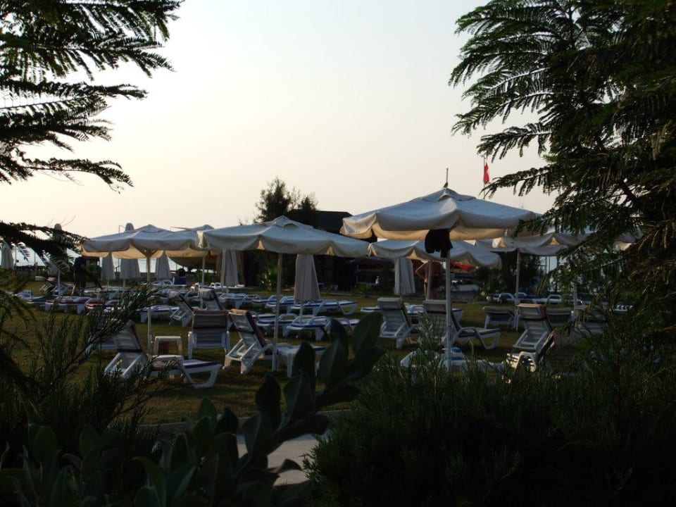 Liegewiese vor dem Strand Crystal Family Comfort Collection