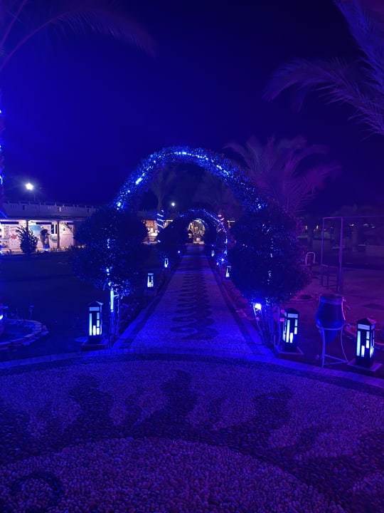 Gartenanlage Coral Sun Beach