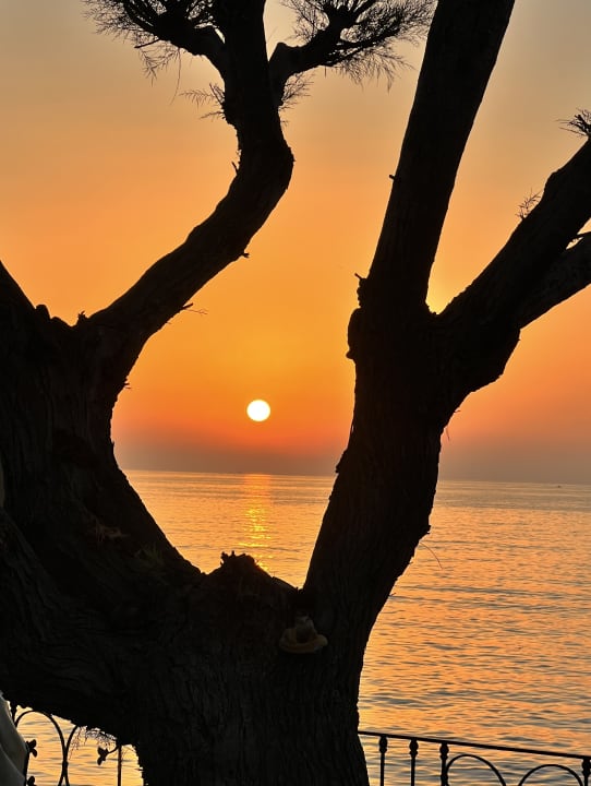 Ausblick Hotel Tritone Terme & Spa