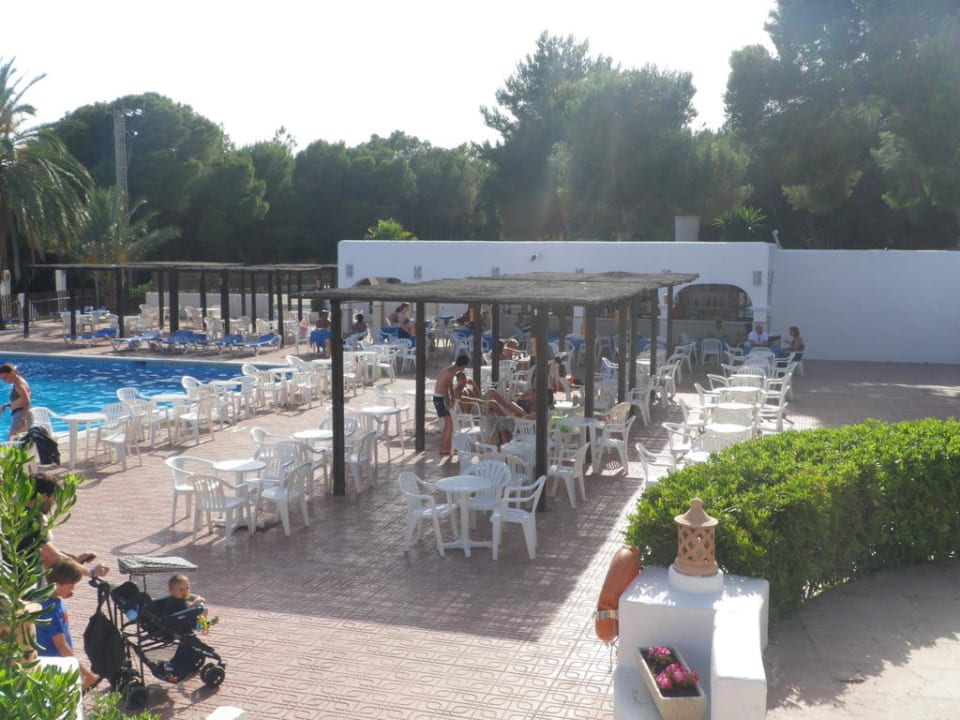 Schattige Plätzchen Cala Llenya Resort Ibiza