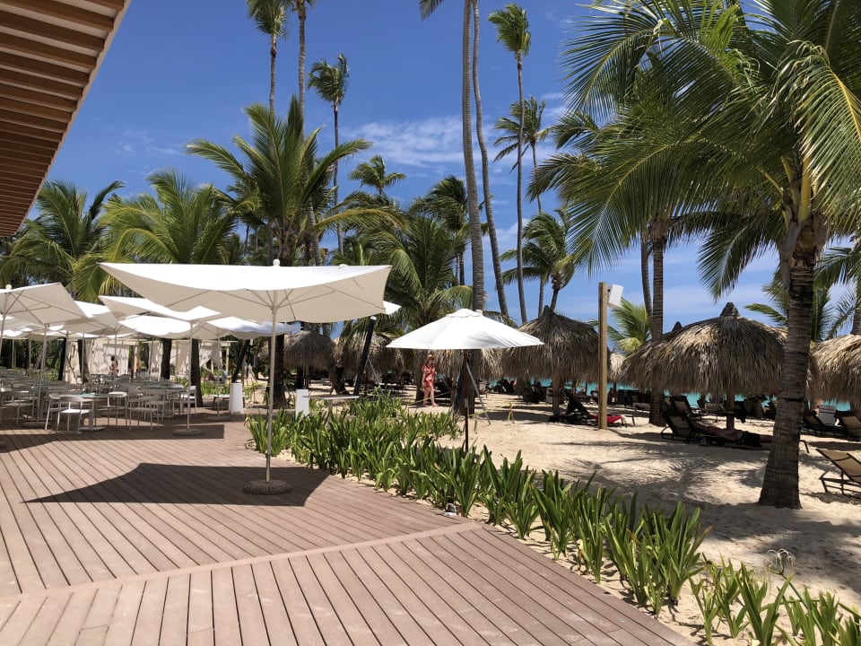 Gastro TRS Turquesa Hotel - Adults only