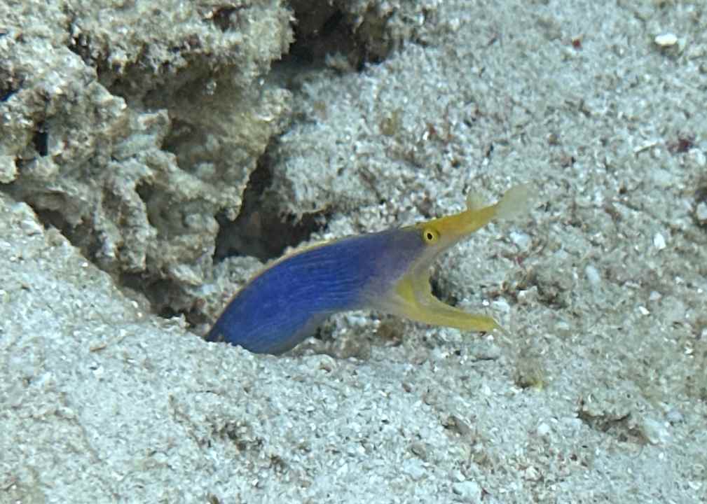 Strand Sali Bay Resort