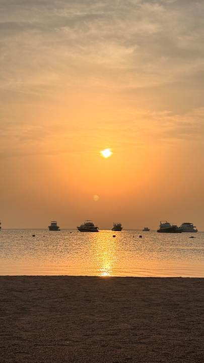 Strand The Grand Palace - Adults only