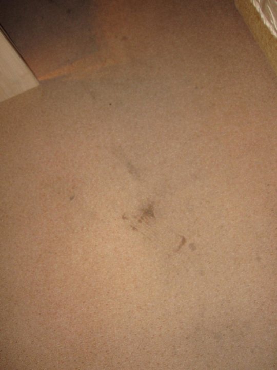 Teppichboden Zimmer 226 Hotel Cazablanka / Casablanca