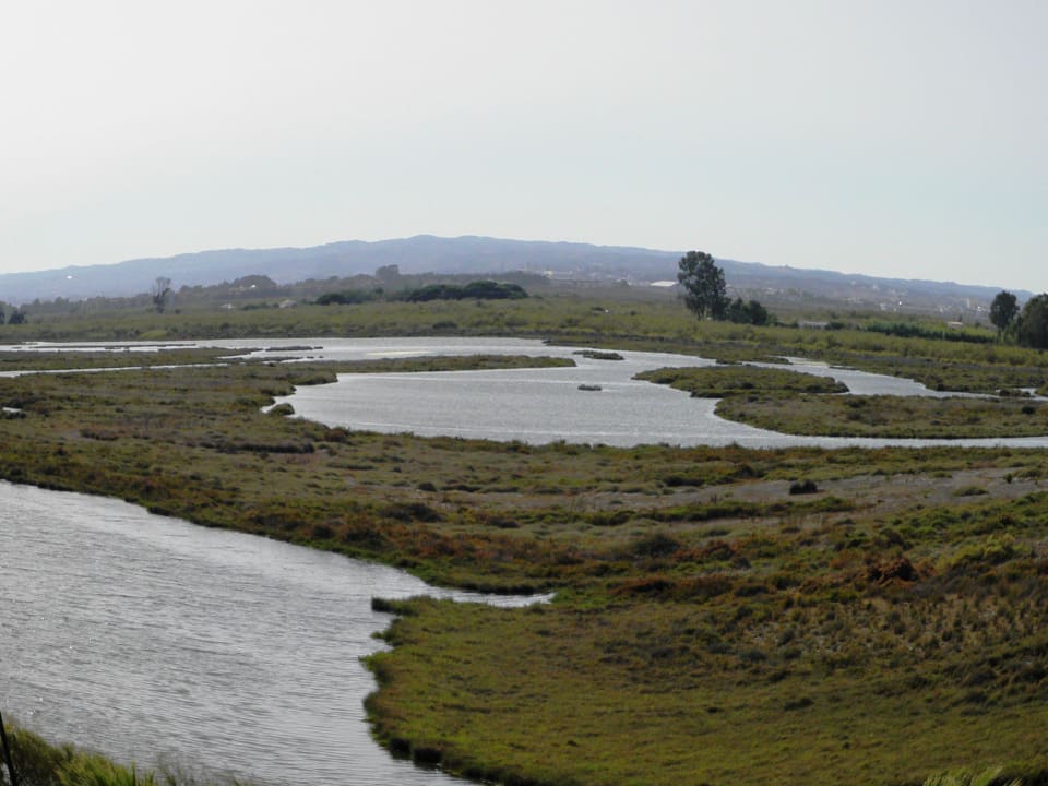 Widok na kanały Playacanela Hotel