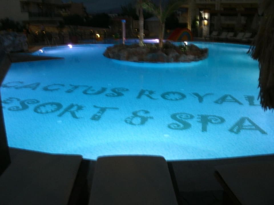 Pool von oben bei Nacht Cactus Royal