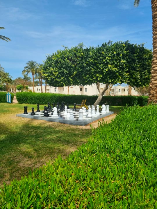 Sport & Freizeit Pharaoh Azur Resort