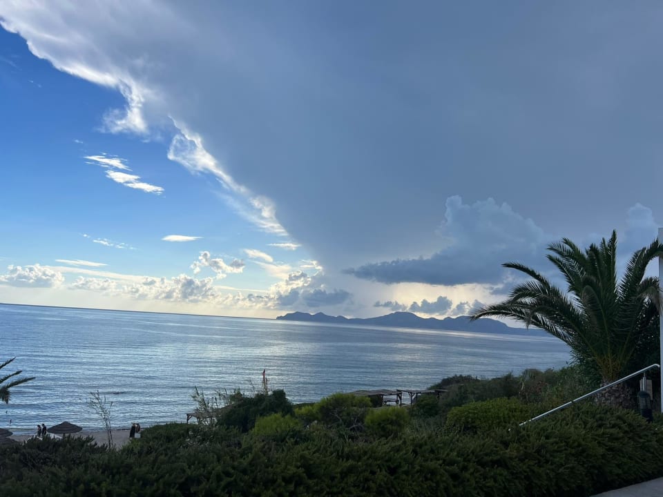 Ausblick ROBINSON DAIDALOS