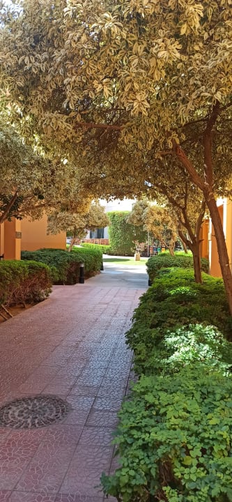 Gartenanlage Stella Beach Resort & Spa Makadi Bay