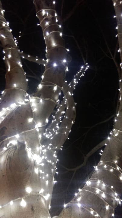 Weihnachtsbeleuchtung Iberostar Waves Bouganville Playa