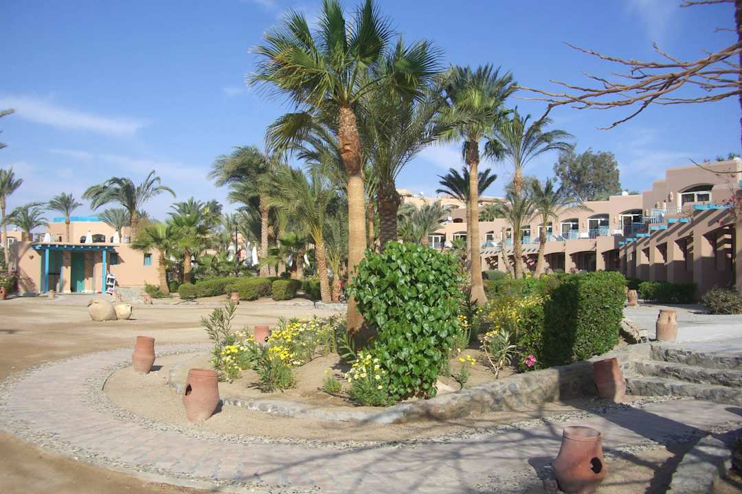 Schön angelegt Club Paradisio El Gouna, Red Sea