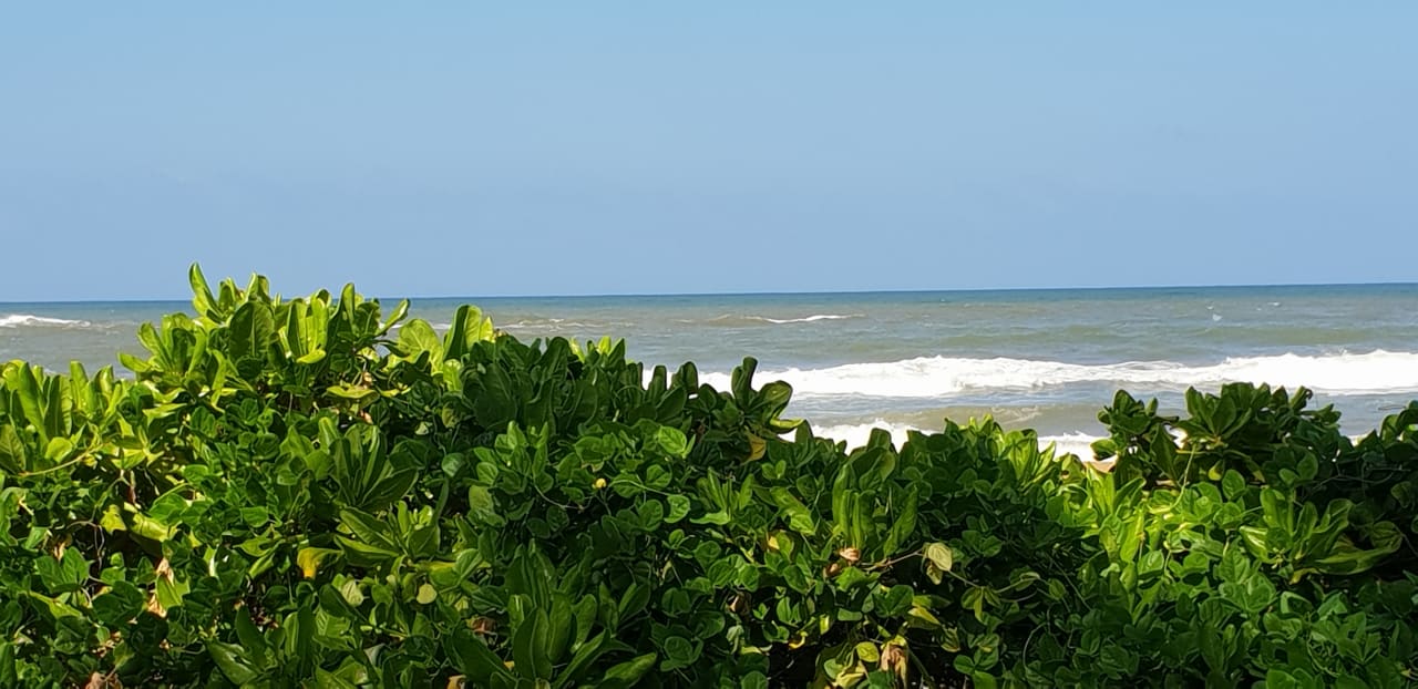 Ausblick Royal Palms Beach Hotel