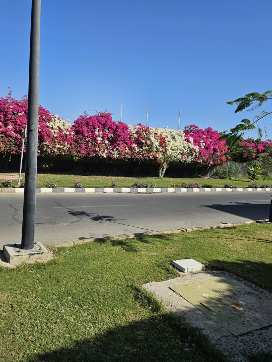 Gartenanlage Marina Resort Port Ghalib, a member of Radisson Individuals