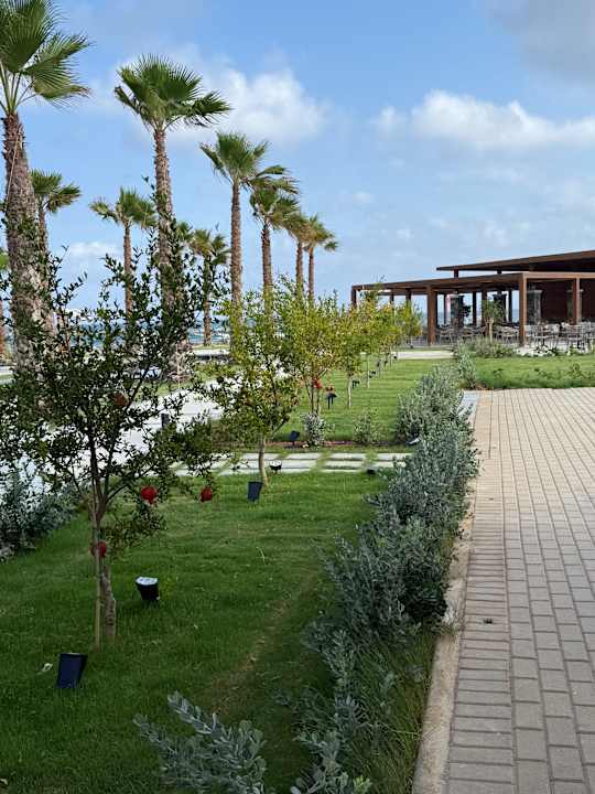 Ausblick allsun Hotel Carolina Mare