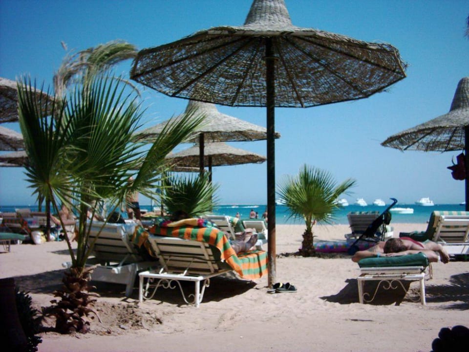 Am Hotelstrand Giftun Azur Resort