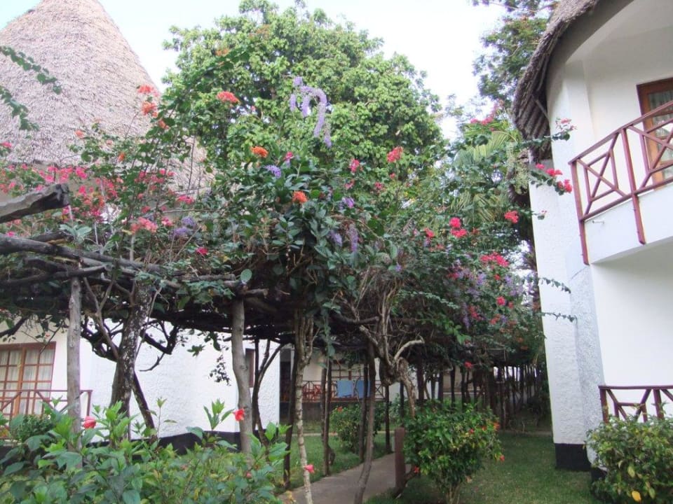 Gepflegte Anlage Neptune Village Beach Resort & Spa