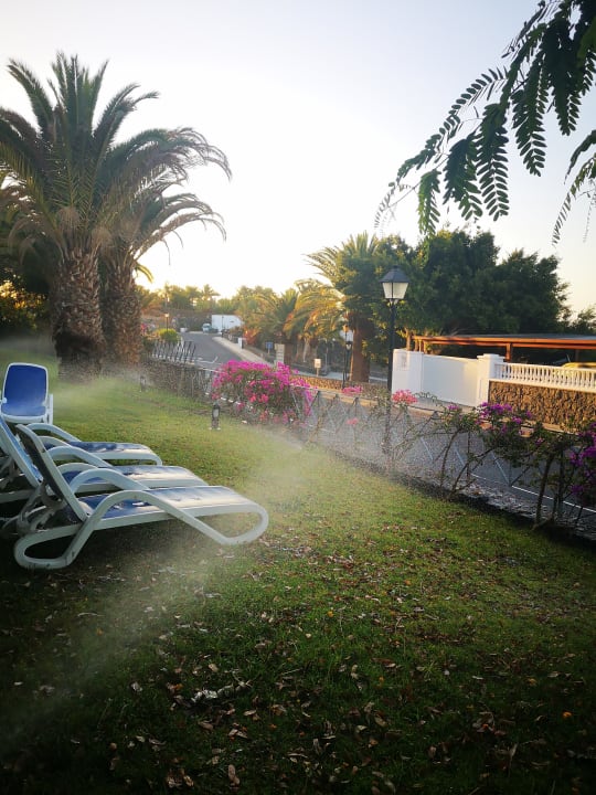 Gartenanlage Hotel Costa Calero