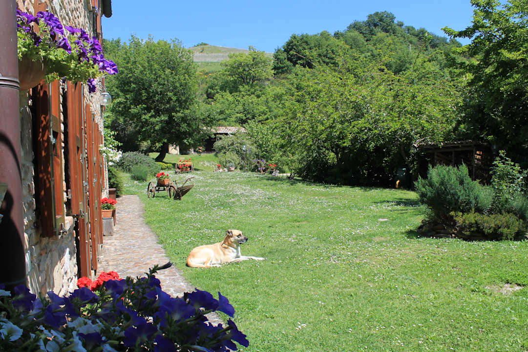 Gartenanlage Country House - Il Biroccio