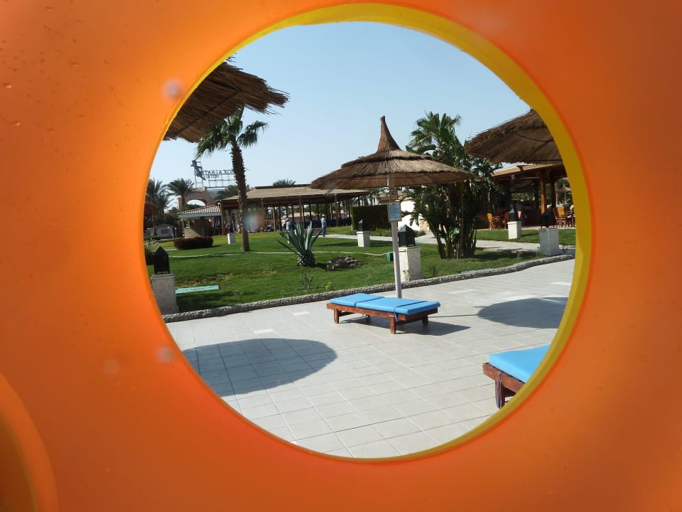 Hinten am Pool Beach Albatros Resort