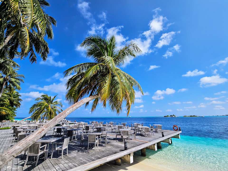 Gastro Vilamendhoo Island Resort & Spa