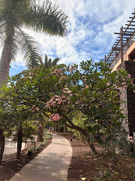 Gartenanlage Lopesan Baobab Resort