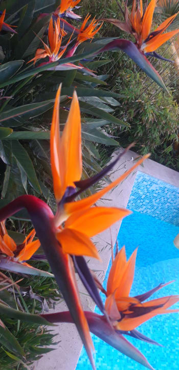 Pool Hotel Pine Bay Holiday Resort