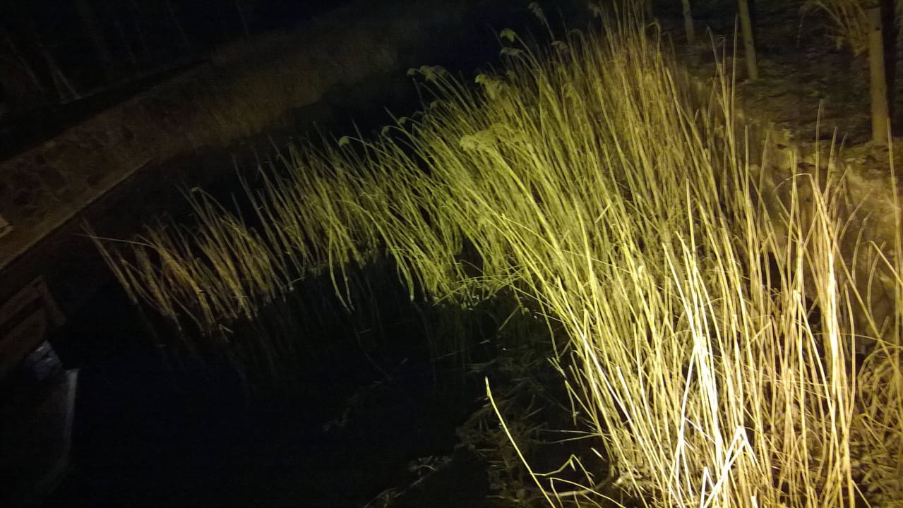 Nachts Wasserschloss Mellenthin