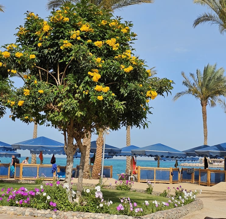 Strand Continental Hotel Hurghada
