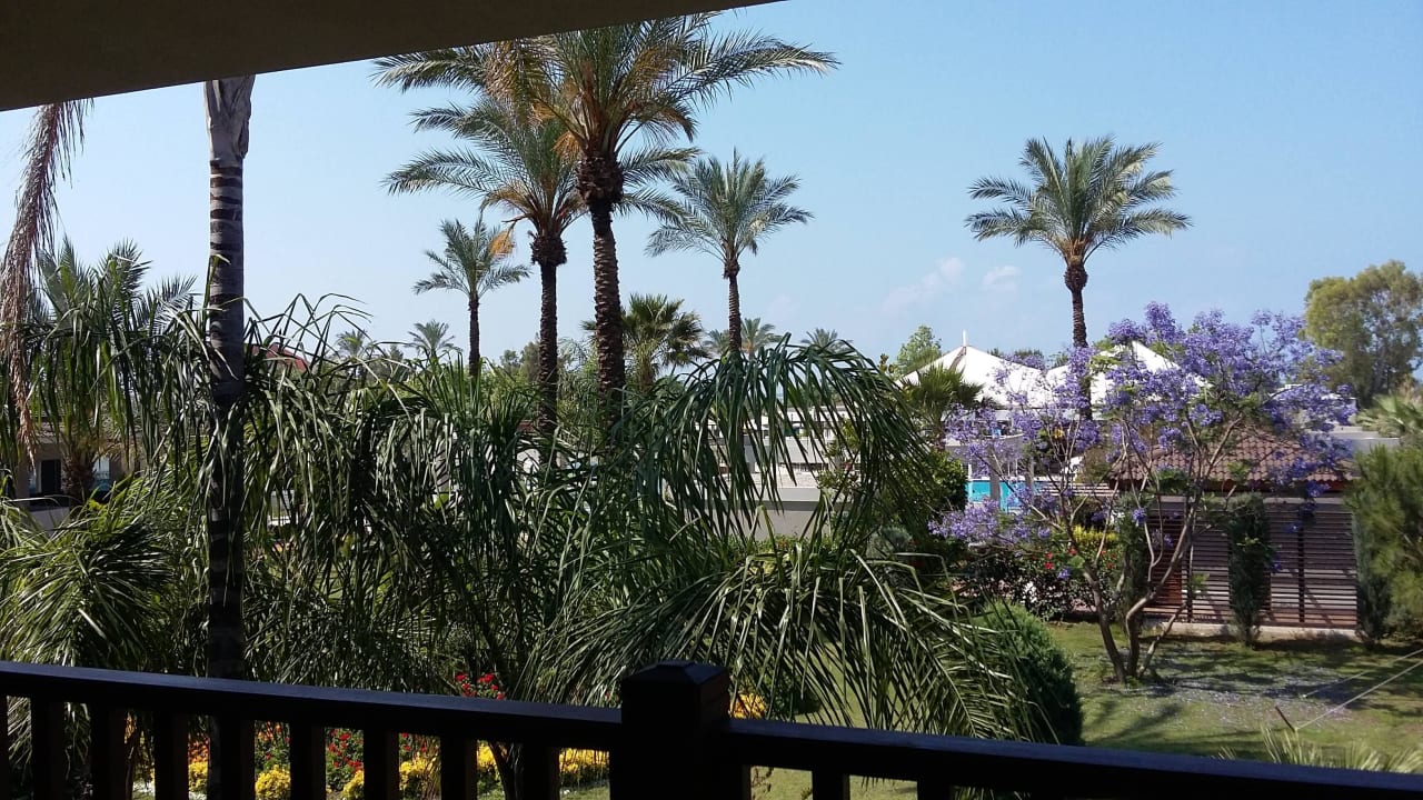 Garten Sunis Elita Beach Resort & Spa