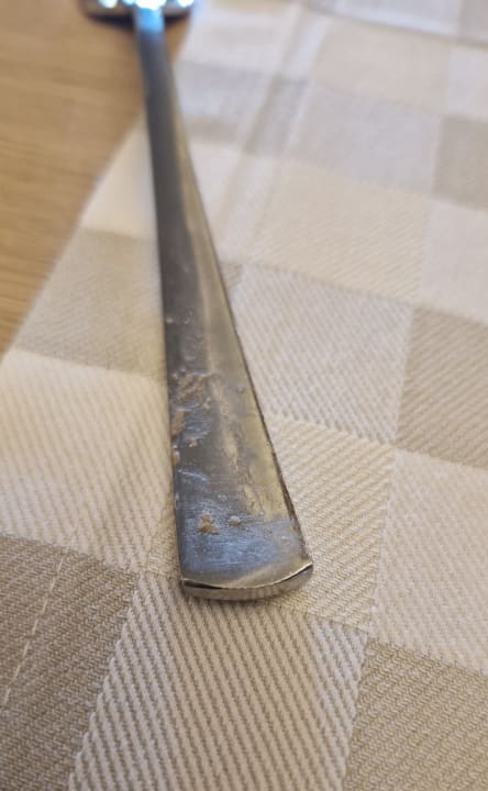 Gastro Seashell Vega