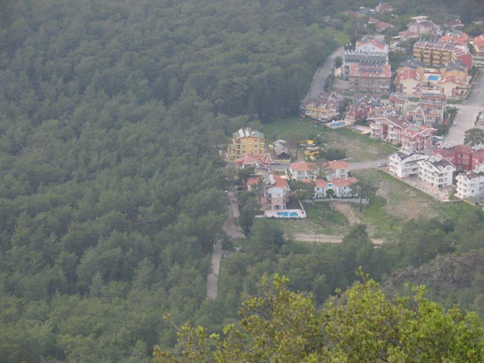 Blick vom Hausberg Hotel Forest Park