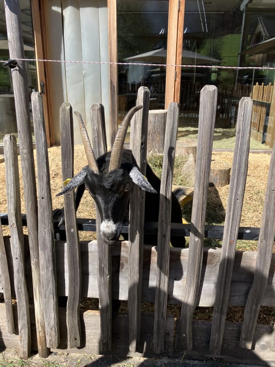 Gartenanlage Dachsteinkönig - Familux Resort