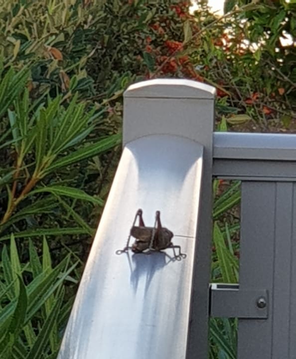 Sonstiges Anemos Luxury Grand Resort