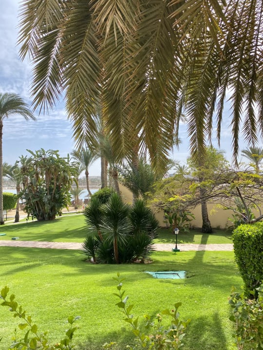 Außenansicht Steigenberger Coraya Beach - Adults only