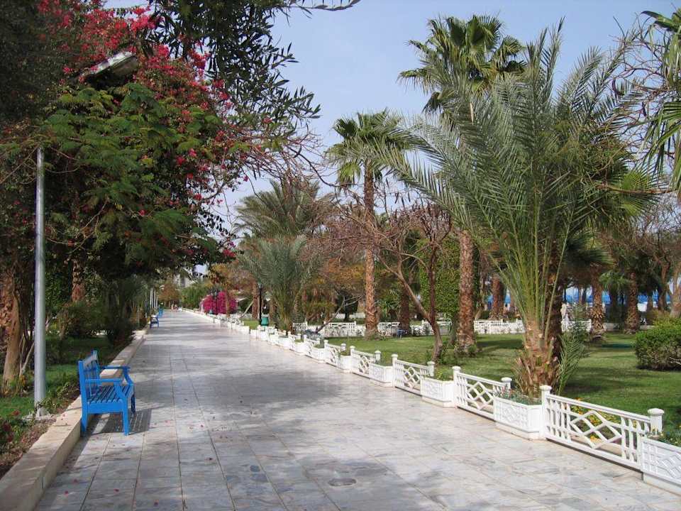 Blick auf den Garten The Grand Hotel Hurghada