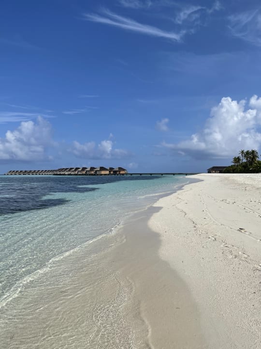 Strand Hurawalhi Island Resort Maldives