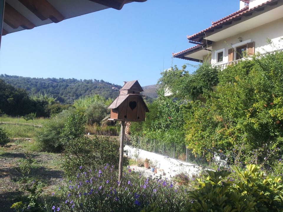 Vogelhaus Hotel Golden Sun