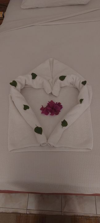 Zimmer Menaville Safaga