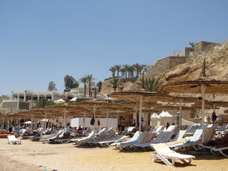 Strand Hotel Reef Oasis Palms