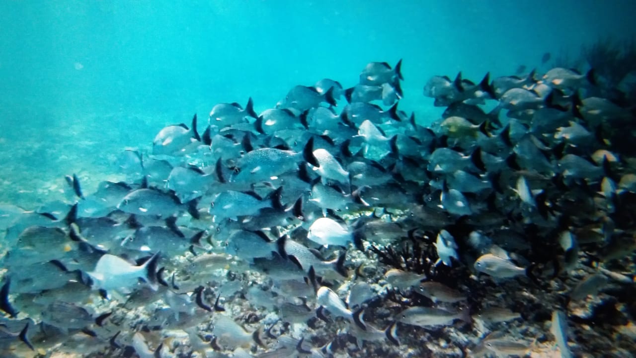 Sport & Freizeit Grand Palladium Kantenah Resort & Spa