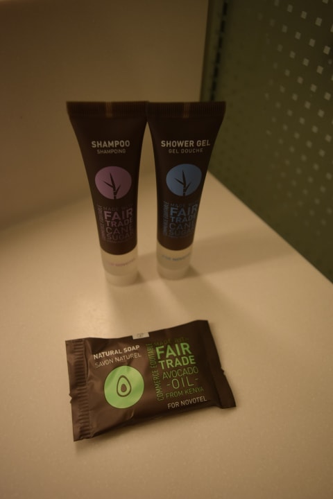 Zimmer Hotel Novotel Kayseri