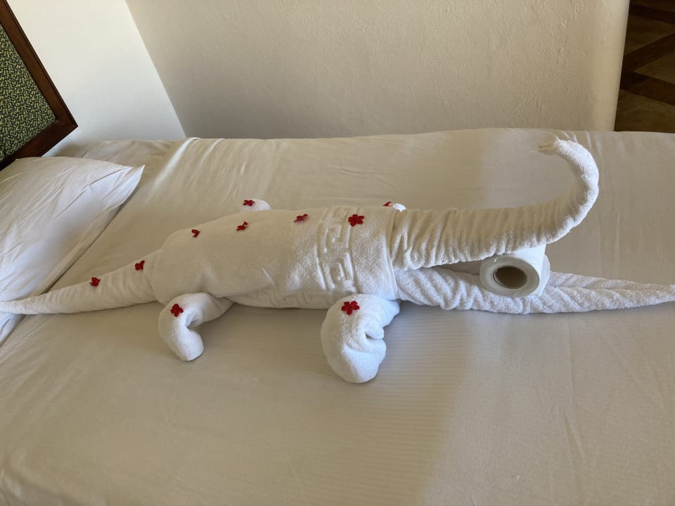 Zimmer Pickalbatros Citadel Resort