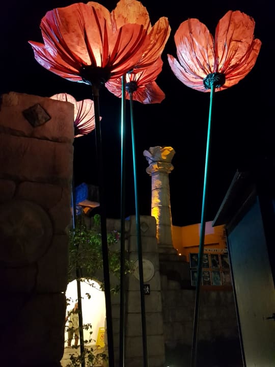 Gartenanlage Xanadu Resort Hotel