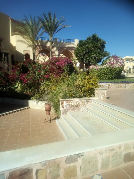 Gartenanlage Steigenberger Coraya Beach - Adults only