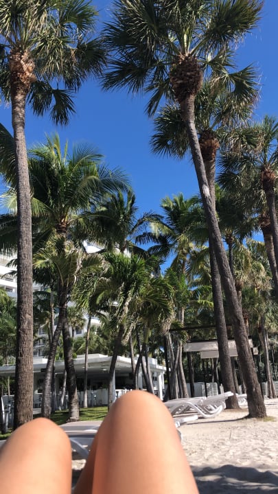 Gartenanlage Hotel Riu Plaza Miami Beach