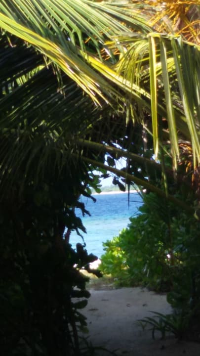 Gartenanlage Furaveri Maldives